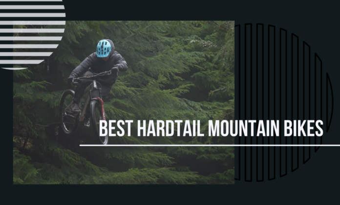 Hardtail Mountain Bikes for Beginners and Advanced