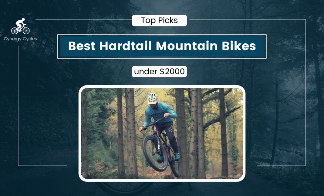 10 Best Hardtail Mountain Bike Under 2000 2024 Conquer Rocky Terrains!