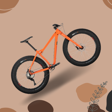 Salsa Mukluk SX Eagle Fat Bike