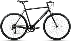 AVASTA 700c Populus Hybrid Bike