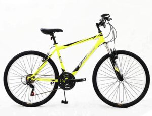 Frike Comfort Adult Hybrid Bike