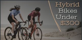 Hybrid Bikes Under $300